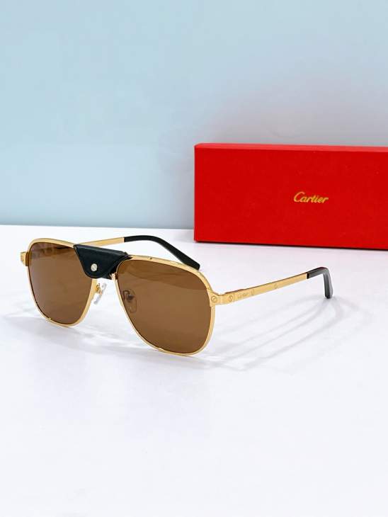 Picture of Cartier Sunglasses _SKUfw80537980fw